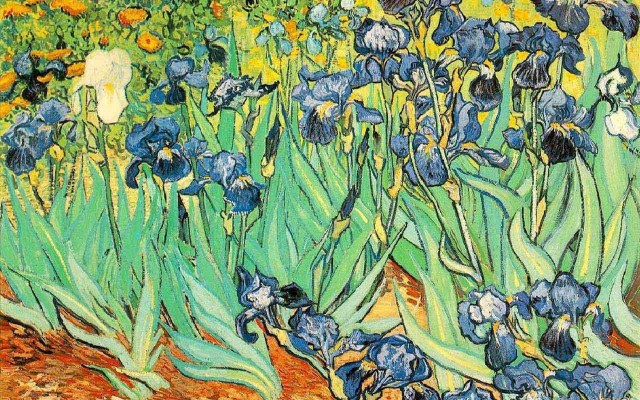 Arts. Desktop wallpaper