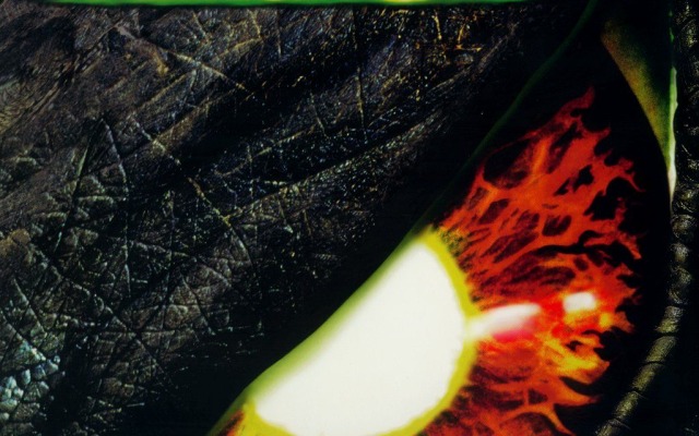 Godzilla. Desktop wallpaper