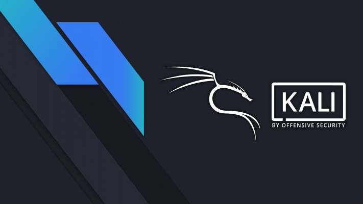 Kali Linux. Desktop wallpaper