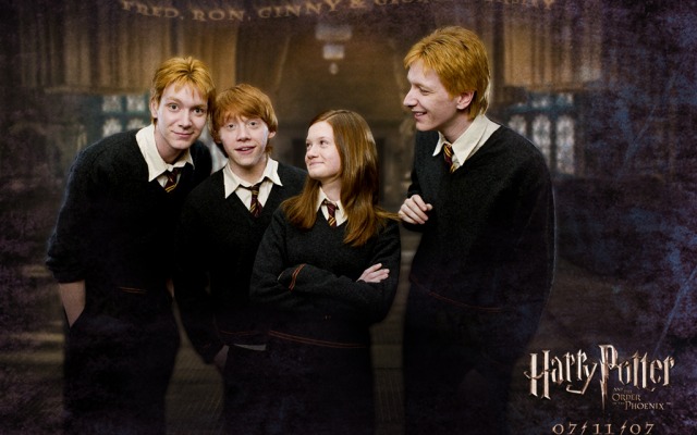 Harry Potter and the Order of the Phoenix. Desktop wallpaper