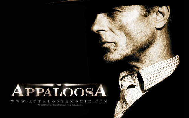 Appaloosa. Desktop wallpaper