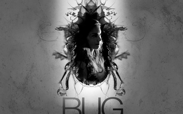 Bug. Desktop wallpaper