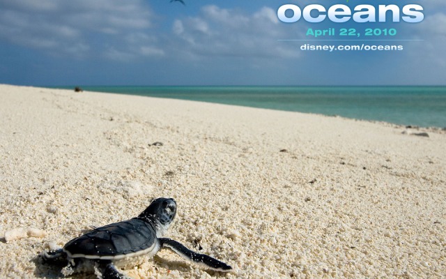 Oceans. Desktop wallpaper