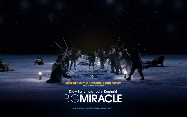 Big Miracle. Desktop wallpaper