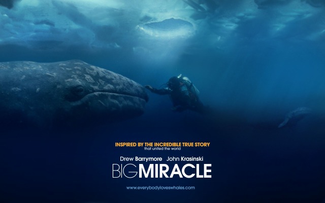 Big Miracle. Desktop wallpaper