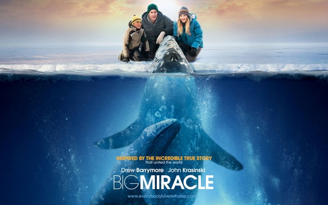Big Miracle. Desktop wallpaper