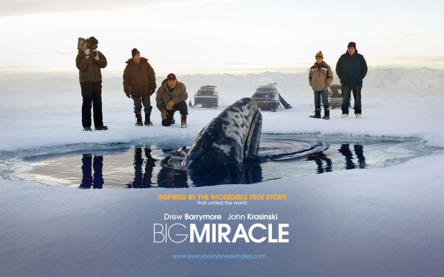 Big Miracle. Desktop wallpaper