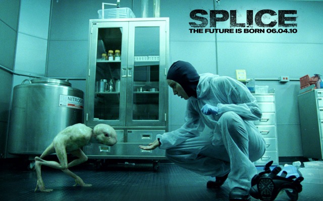 Splice. Desktop wallpaper