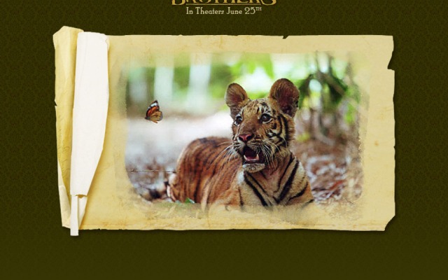 Open Two Brothers wallpaper in full resolution Two Brothers. Desktop wallpaper