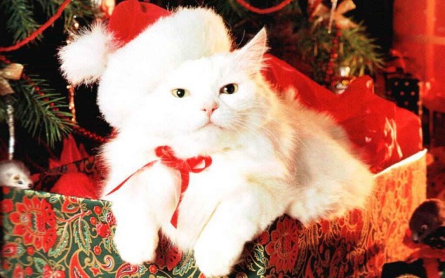 Holidays. Desktop wallpaper