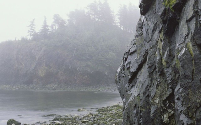 Nature. Desktop wallpaper