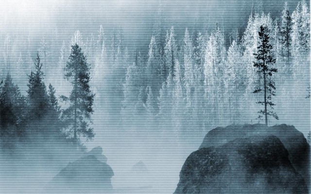 Nature. Desktop wallpaper