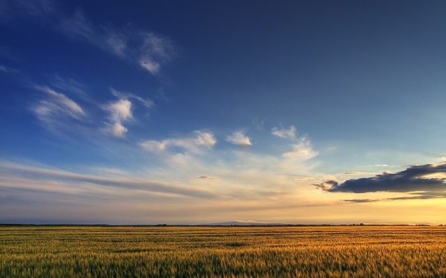 Nature. Desktop wallpaper