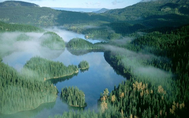 Nature. Desktop wallpaper