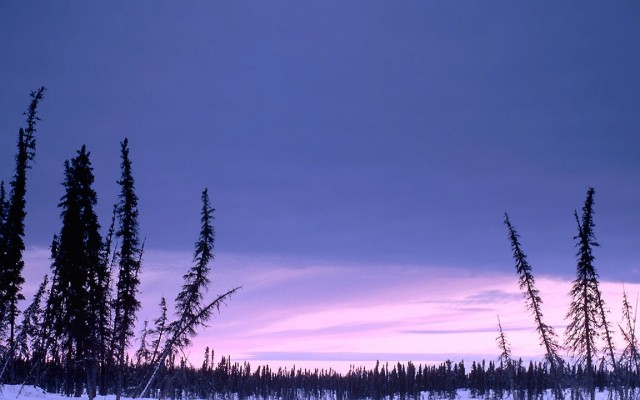 Nature. Desktop wallpaper
