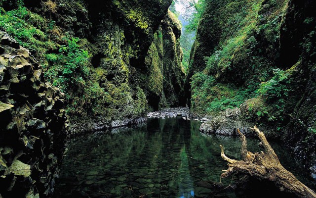 Nature. Desktop wallpaper