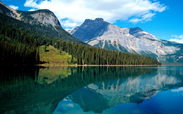 Nature. Desktop wallpaper