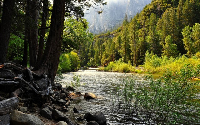 Nature. Desktop wallpaper