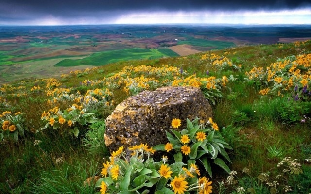 Nature. Desktop wallpaper