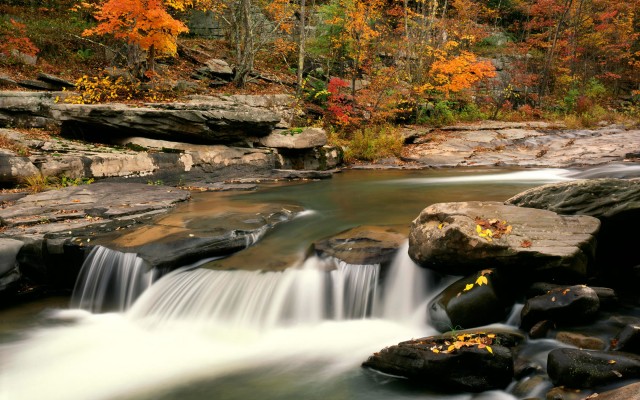 Nature. Desktop wallpaper