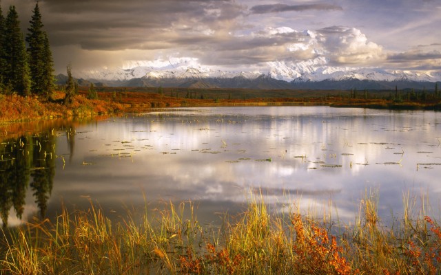 Nature. Desktop wallpaper
