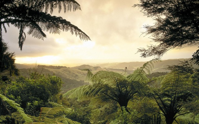 Nature. Desktop wallpaper