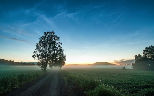 Nature. Desktop wallpaper