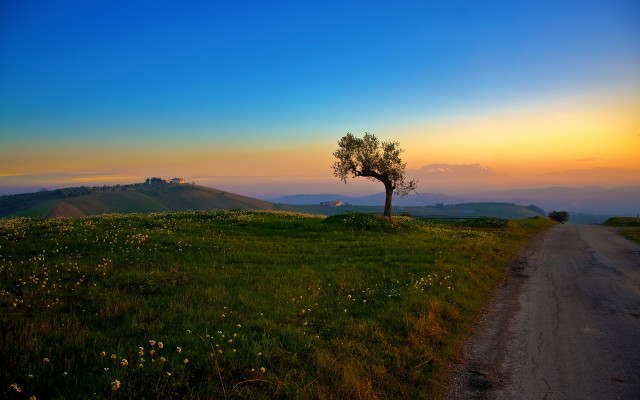 Nature. Desktop wallpaper