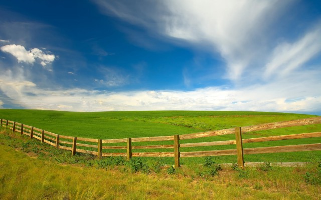 Nature. Desktop wallpaper