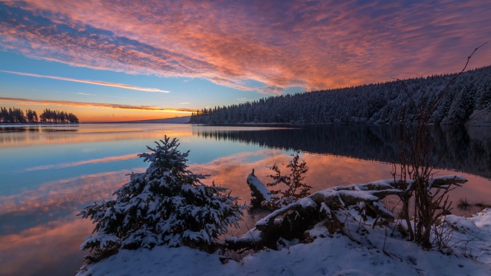 Nature. Desktop wallpaper
