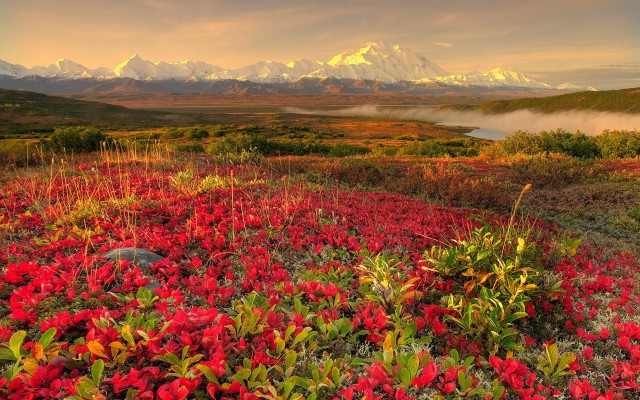 Nature. Desktop wallpaper