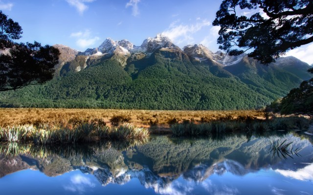 Nature. Desktop wallpaper