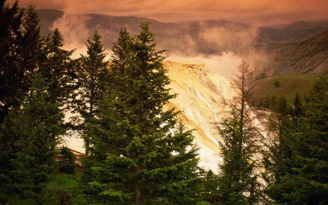 Nature. Desktop wallpaper