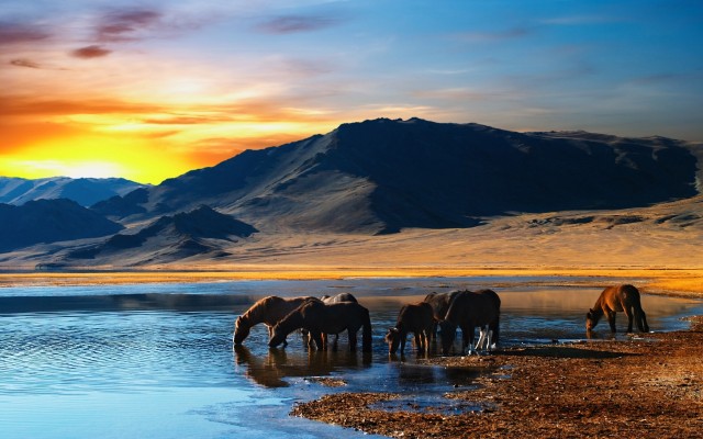 Nature. Desktop wallpaper