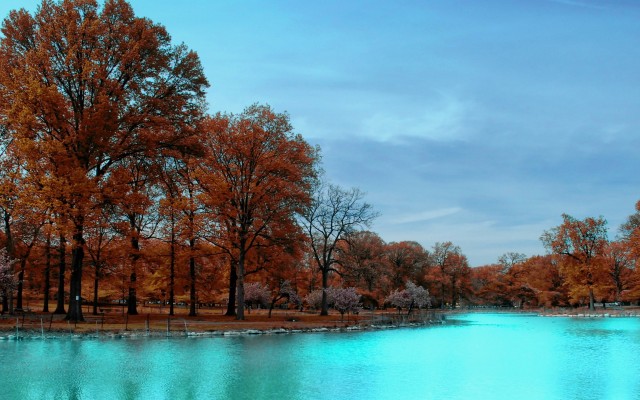Nature. Desktop wallpaper