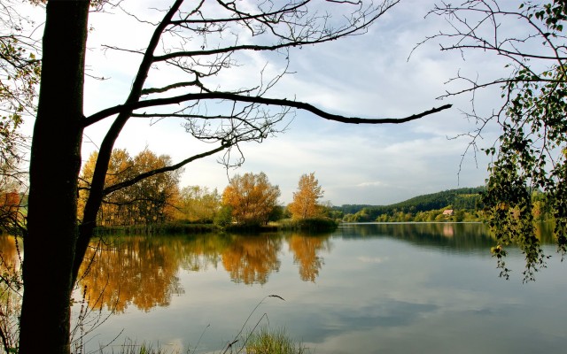 Nature. Desktop wallpaper