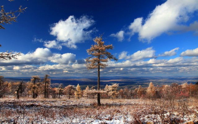 Nature. Desktop wallpaper