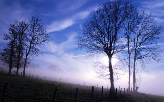 Nature. Desktop wallpaper