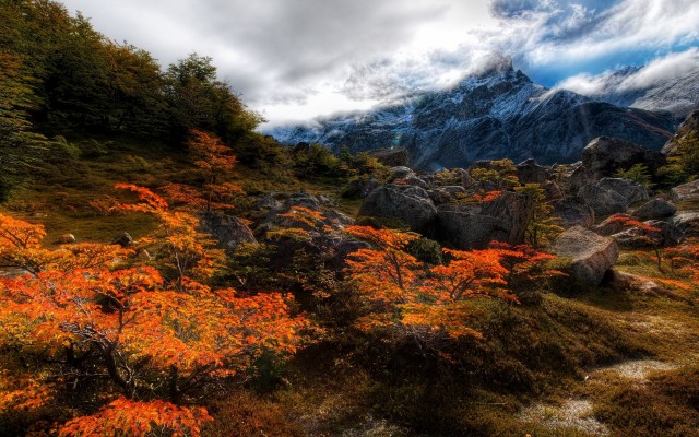 Nature. Desktop wallpaper