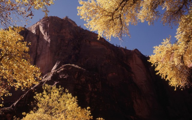 Nature. Desktop wallpaper