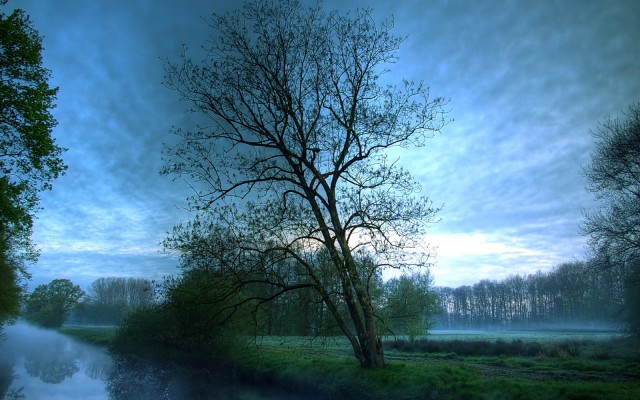 Nature. Desktop wallpaper