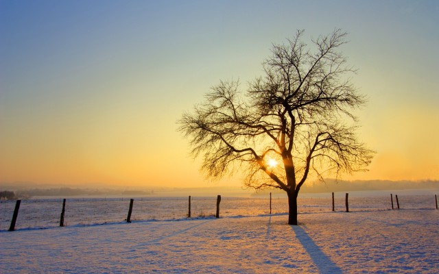 Nature. Desktop wallpaper