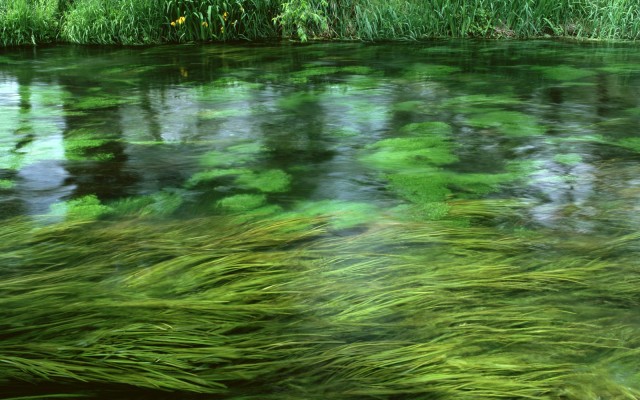 Nature. Desktop wallpaper