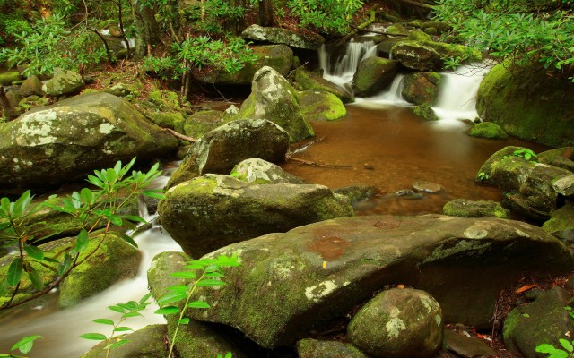 Nature. Desktop wallpaper