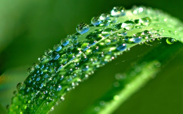 Nature. Desktop wallpaper