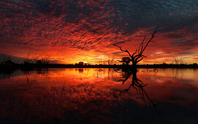 Nature. Desktop wallpaper