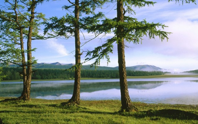 Nature. Desktop wallpaper