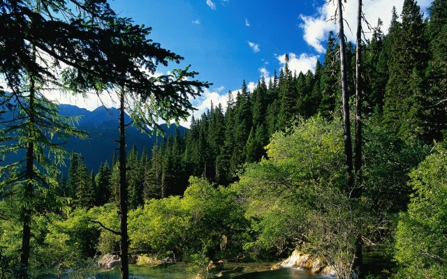 Nature. Desktop wallpaper