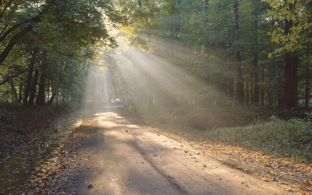 Nature. Desktop wallpaper