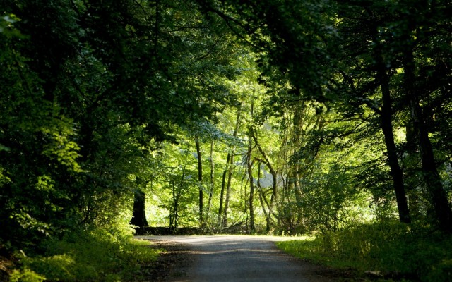 Nature. Desktop wallpaper